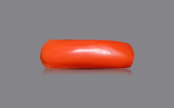 Coral Red