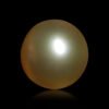 SOUTH SEA PEARL DG-0098