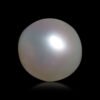 SOUTH SEA PEARL DG-0099