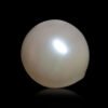 SOUTH SEA PEARL DG-0104