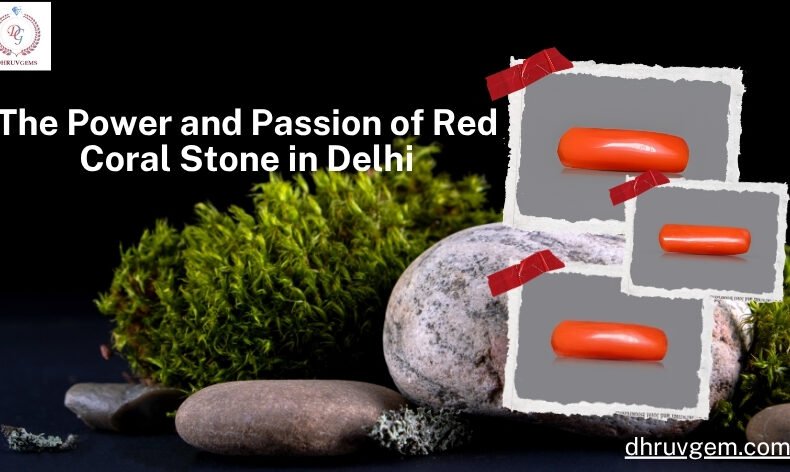 Red Coral Stone in Delhi, India