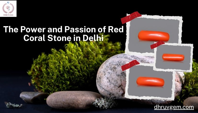 Red Coral Stone in Delhi, India